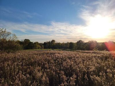 LOT 7 Abby Ct, Dryden, MI, 48428