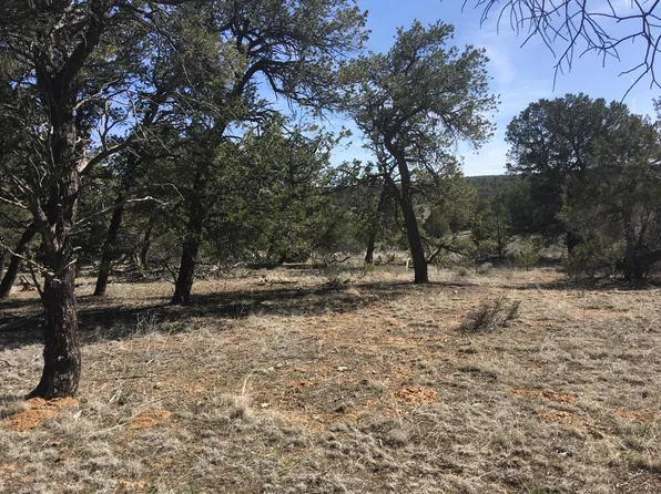 LOT 299 Edgewood Dr, Pinehill, NM 87357