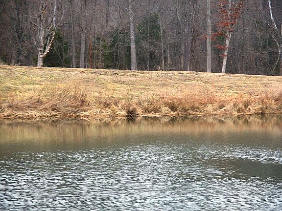Stocked pond