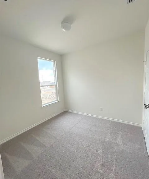 5651 Foppiano Loop — Photo 19