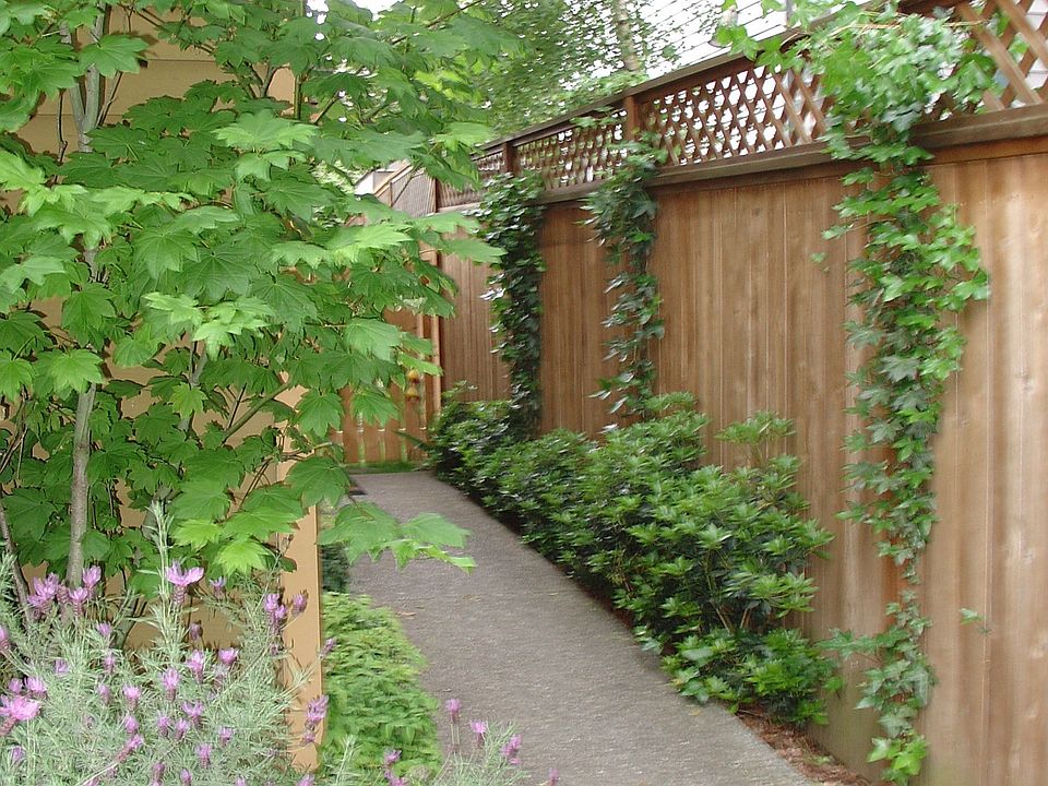 2nd image of 4426A Francis Ave N