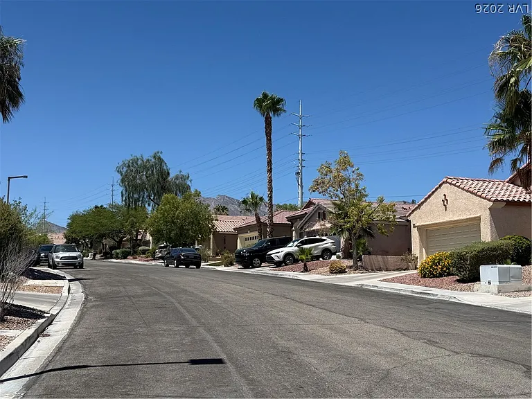 10677 Windrose Point Ave — Photo 19