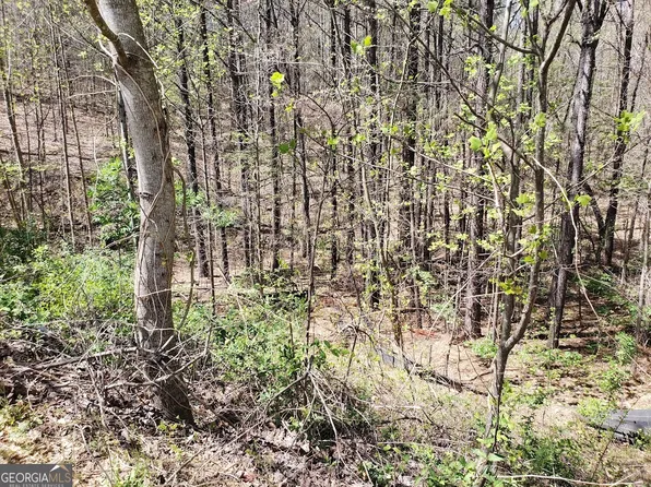 438 Fieldcrest Dr, Dallas, GA 30132