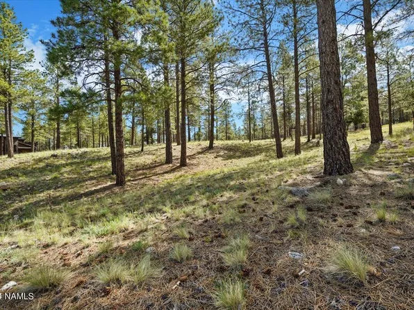 2531 E Del Rae Dr, Flagstaff, AZ 86005