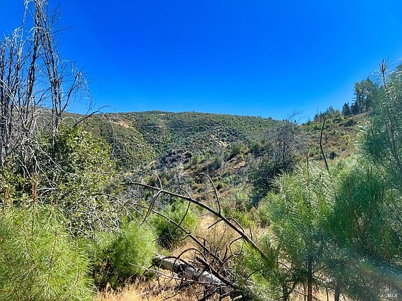 4th image of 11233 Pitney Ridge Road