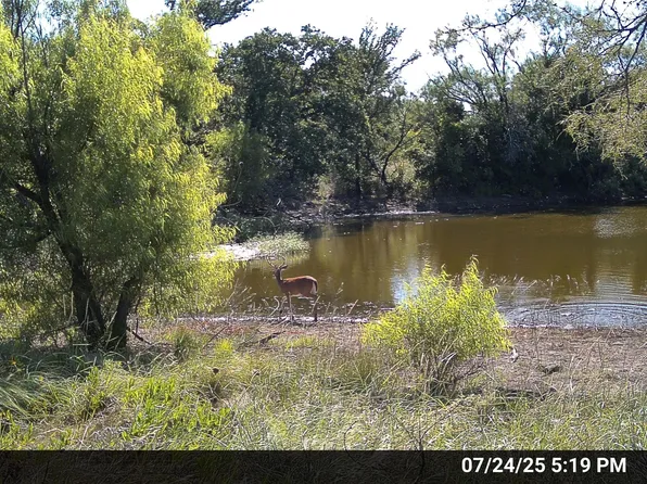 N/a Wayland Ranches, Breckenridge, TX 76424
