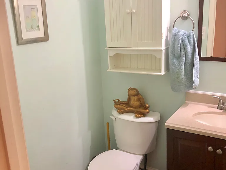 Main floor half bath
