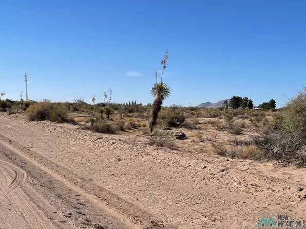 Rivera Rd SW, Deming, NM 88030
