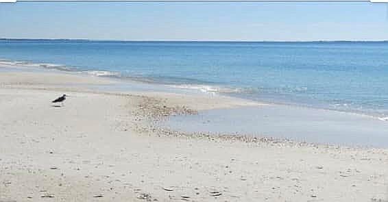 Beautiful Mexico Beach. 