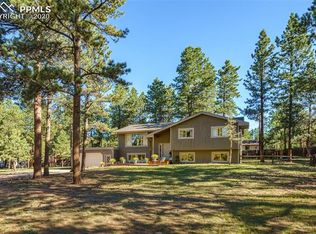 680 Sunnywood Ln, Woodland Park, CO 80863