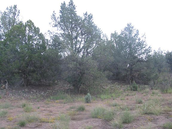 5th image of 5375 N Spotted Dog Trl