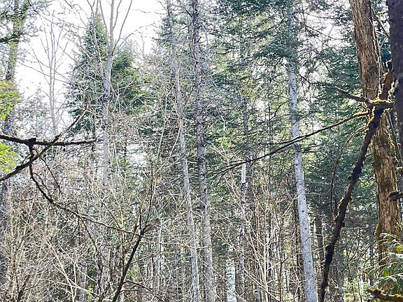 5th image of 0 Hollow Road