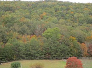 5800 Poor Valley Rd, Rutledge, TN 37861