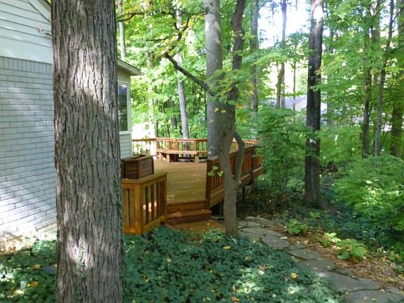 4th image of 33762 Colony Park Dr