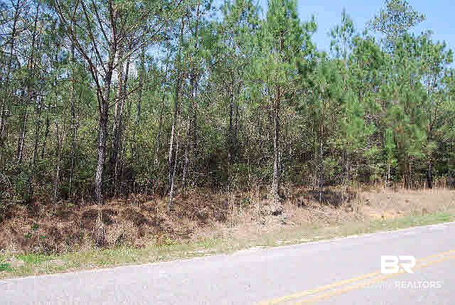 2nd image of 0 Williams Rd