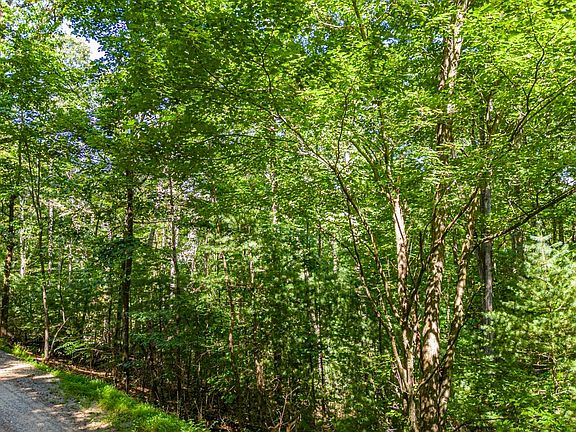 2nd image of 12 Hickory Dr