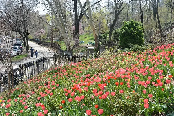 Sold by Corcoran | media 11