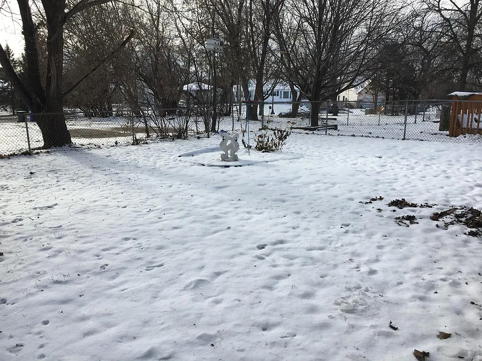 Fenced Back Yard