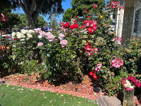 5th image of 283 El Cajon Dr