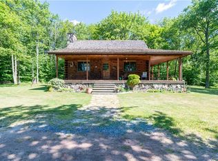 233 Aden Hill Rd, Parksville, NY 12768