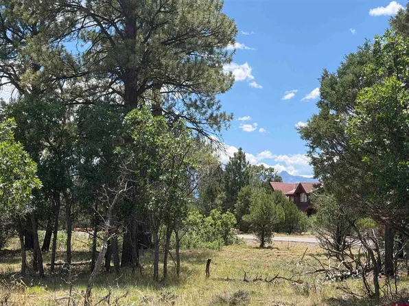 1960 Marmot Drive, Ridgway, CO 81432
