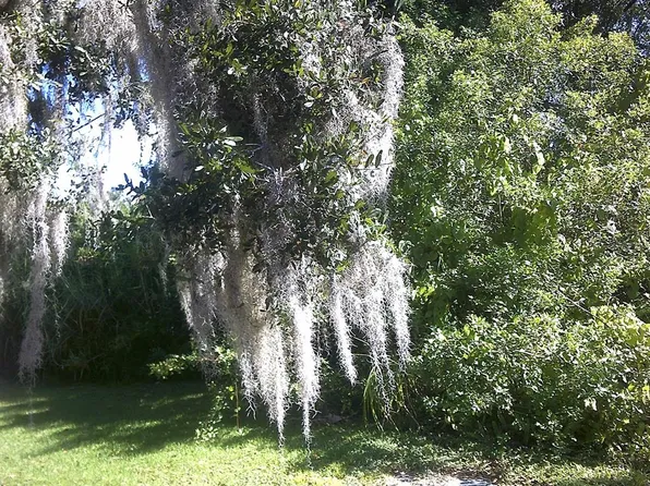 SW 14th Ct Lot 1, Okeechobee, FL 34974