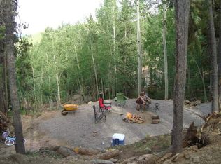Trail Creek Rd, Idaho Springs, CO 80452
