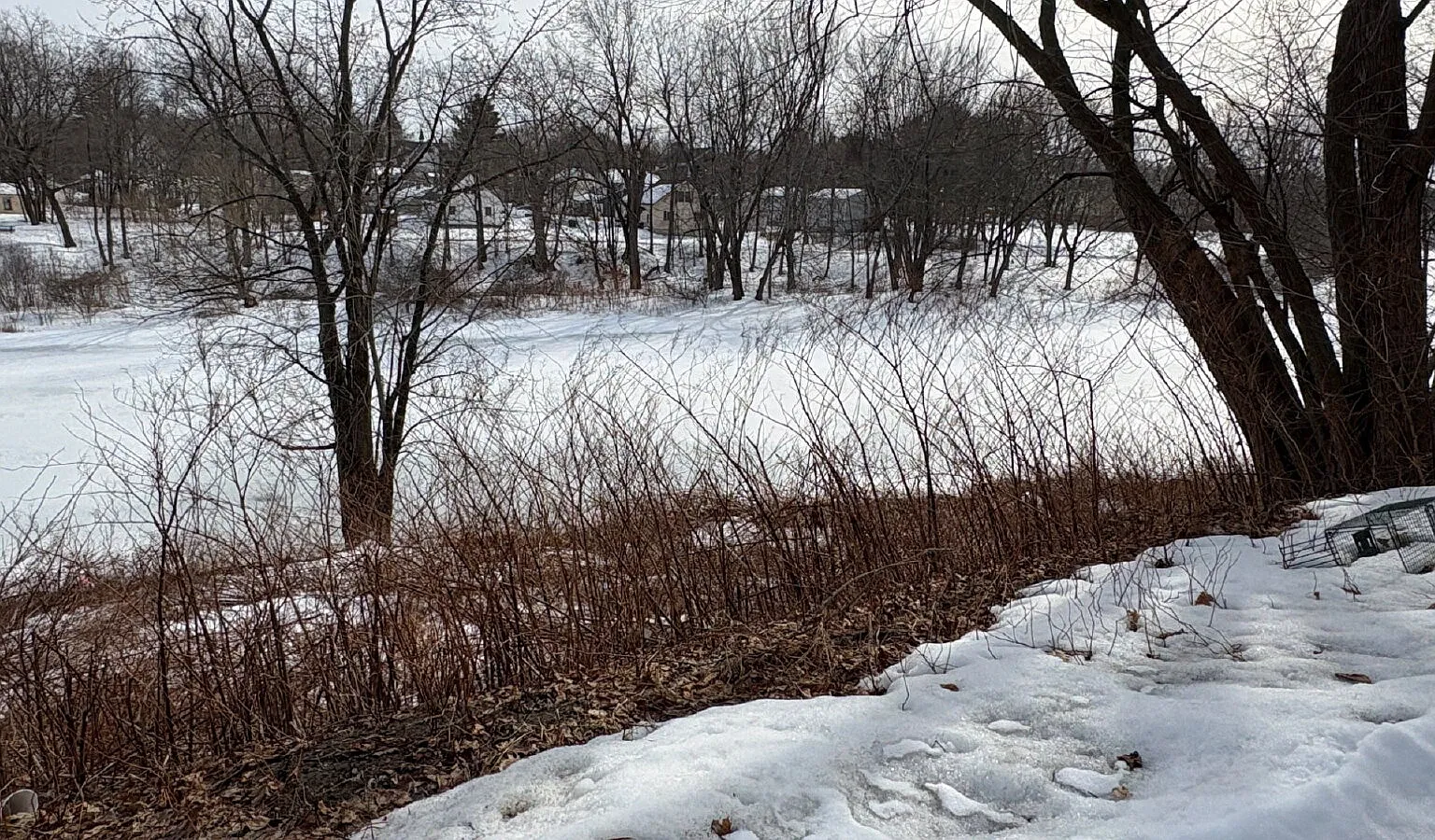 3 bed, 1.0 bath, $2,650 — Photo 2