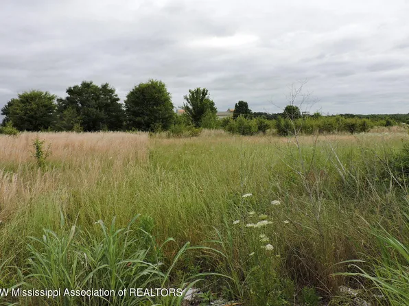 0 Pepper Chase Dr, Southaven, MS 38672