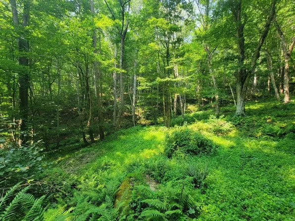 Brewer Ln, Independence, VA 24348