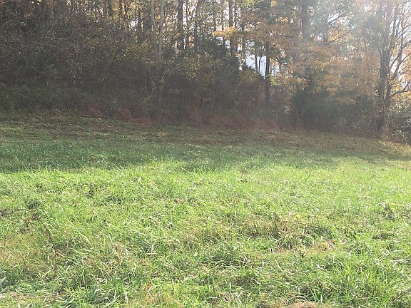 3rd image of 0 Felps Ln Lot 5
