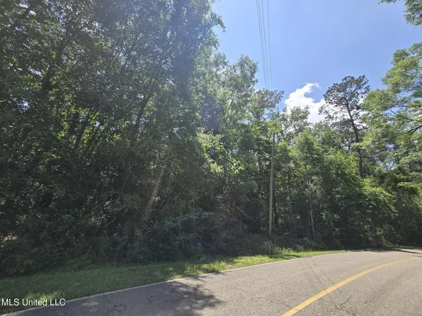 116 E Sunnybrook Rd Lot 1185, Carriere, MS 39426