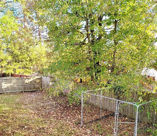 114 Wild Fern Ct — Photo 13