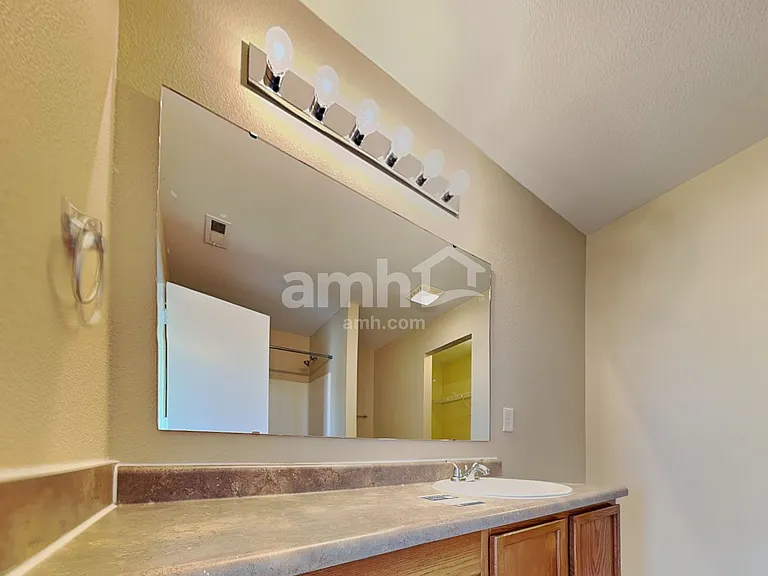 3345 Grove Berry Ln — Photo 13