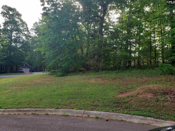 1 Aderley Ct, Irmo, SC 29063