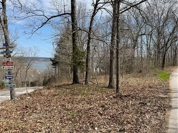 Wading Bird Rd, Camdenton, MO 65020