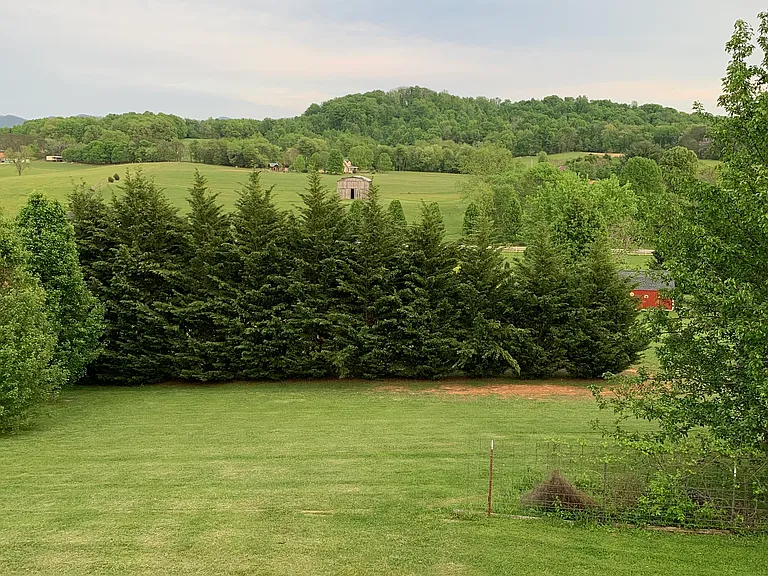 667 Ridgecrest Rd — Photo 19