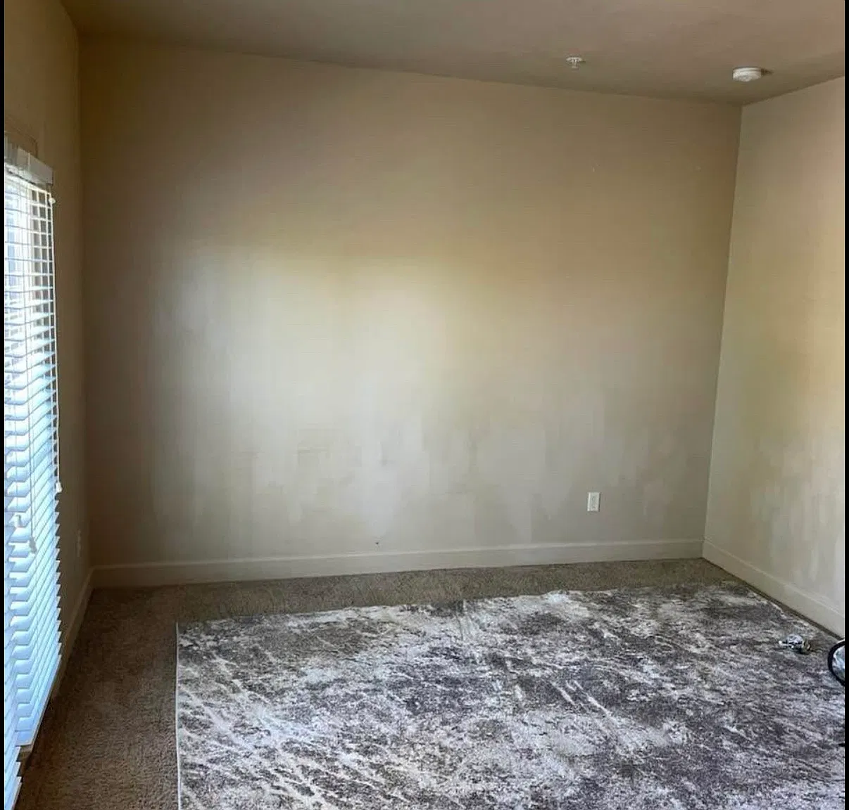 3 bed, $1,900 — Photo 3