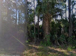 114 Lafleur St SW, Palm Bay, FL 32908