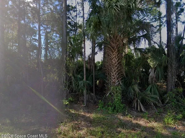 114 Lafleur St SW, Palm Bay, FL 32908