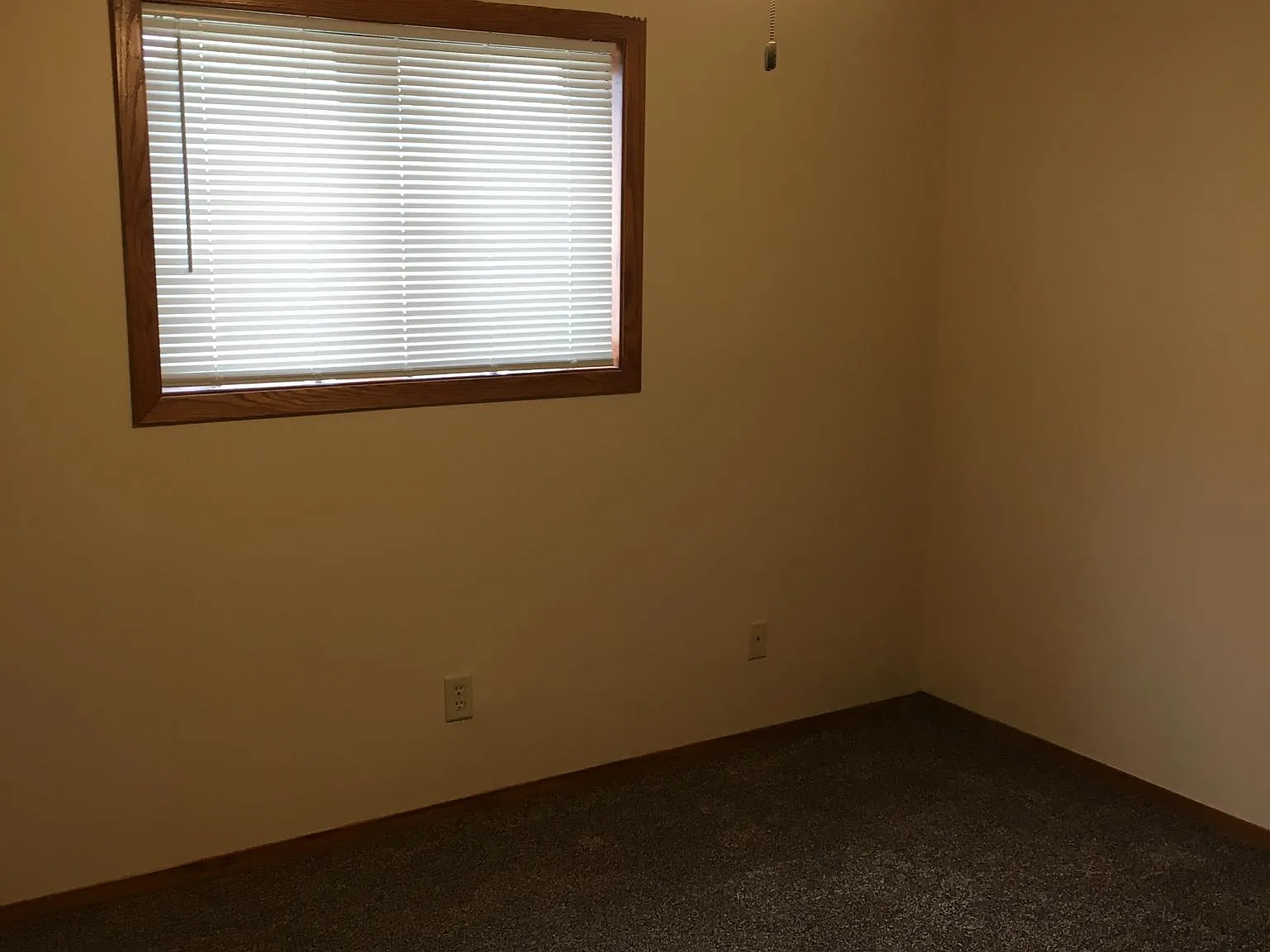 3 bed, $800 — Photo 4