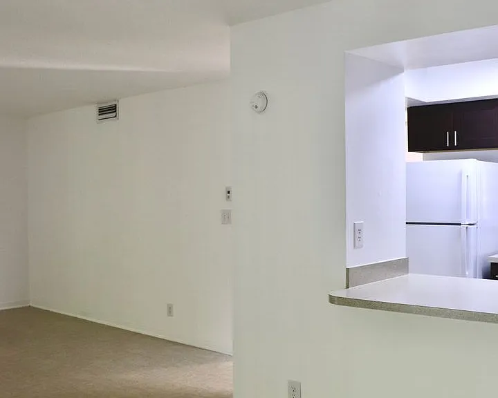 Camino House — Photo 4