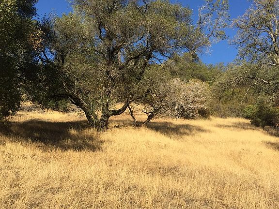 3rd image of Ranch Camp Rd