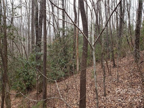 Saluda NC Land & Lots For Sale - 38 Listings | Zillow