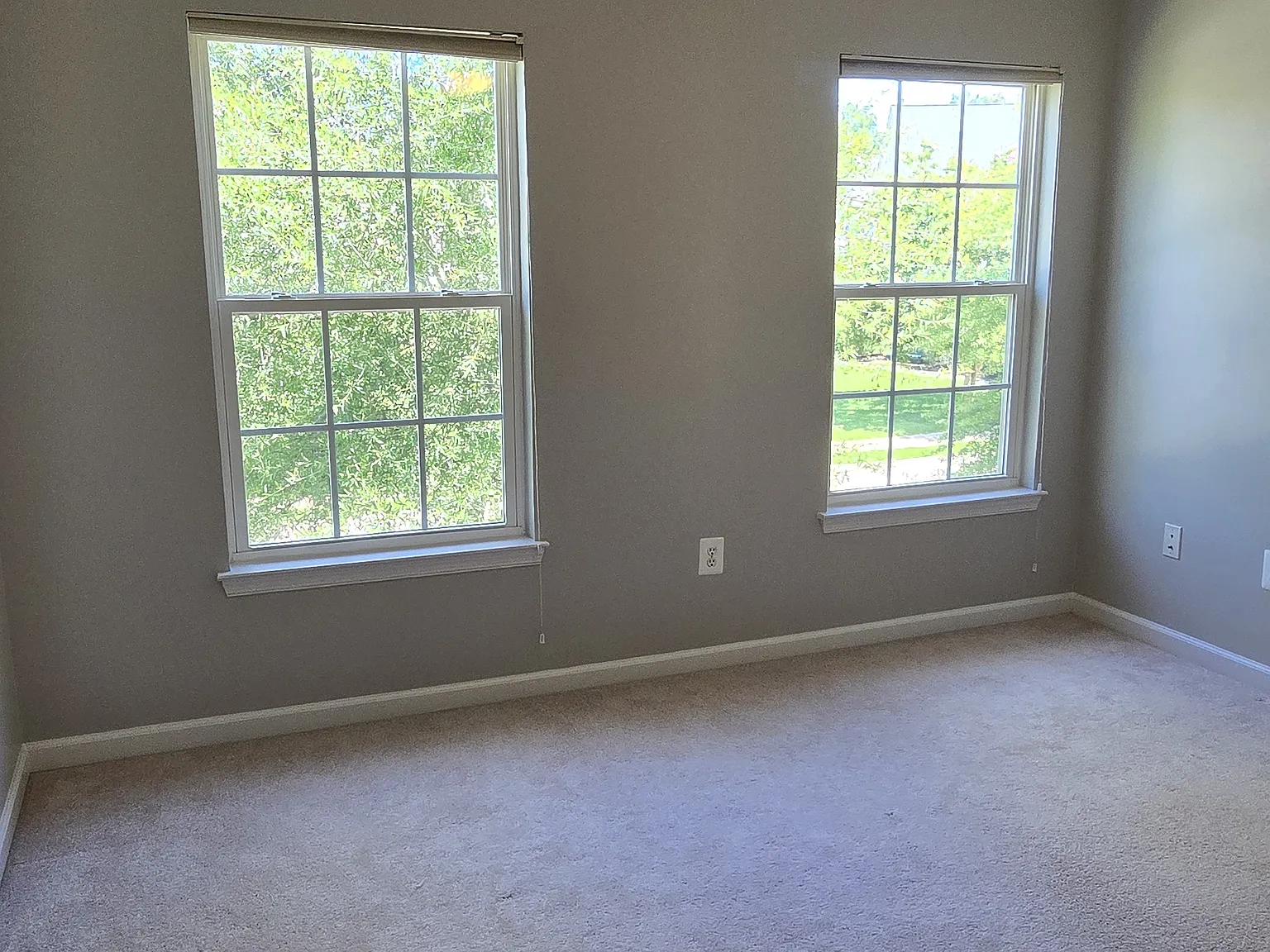 44024 Delphinium Dr — Photo 3