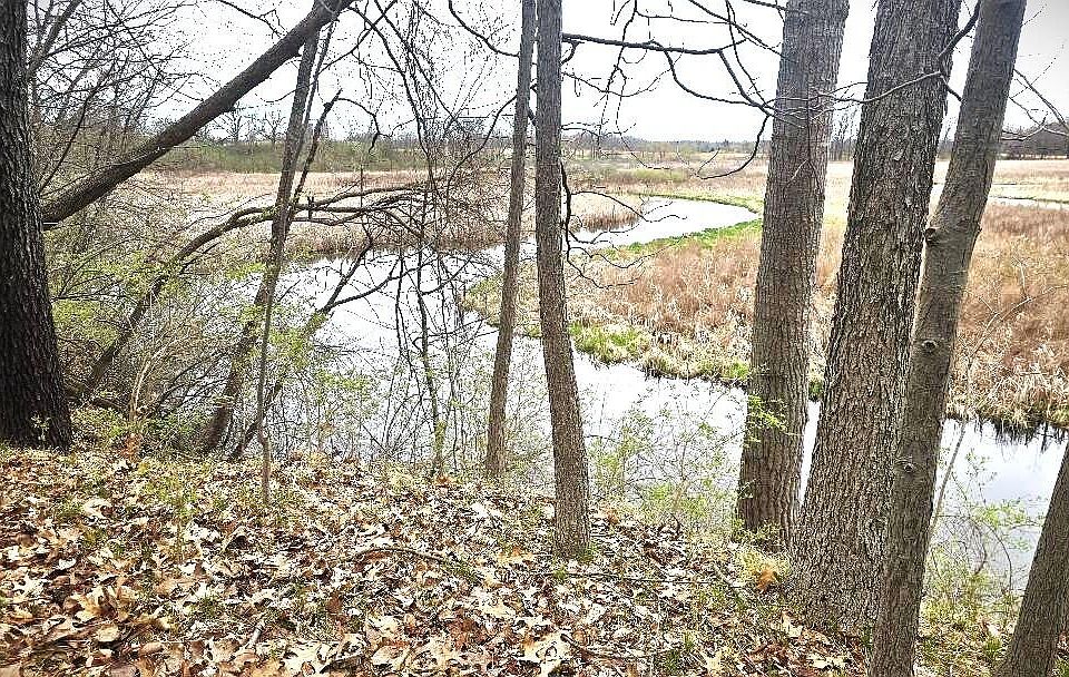 2nd image of 0 Palmer Rd