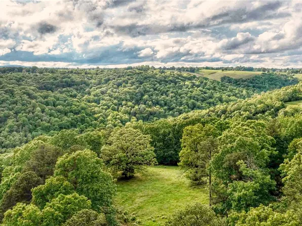 13135 Cobb Rd, Omaha, AR 72662