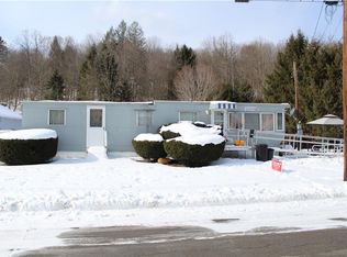 29 Pine St, Canisteo, NY 14823