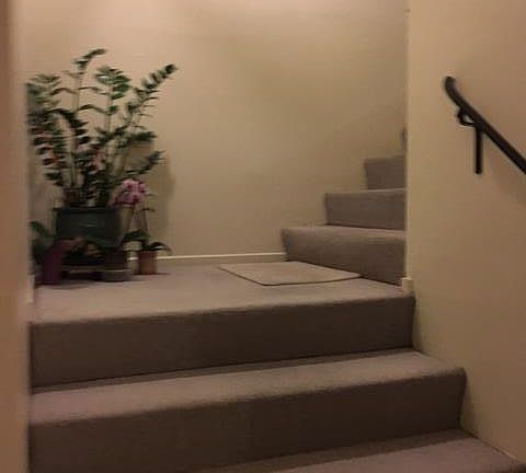 3rd image of 3920 Geddes Ct