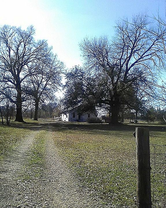 Beautiful yard